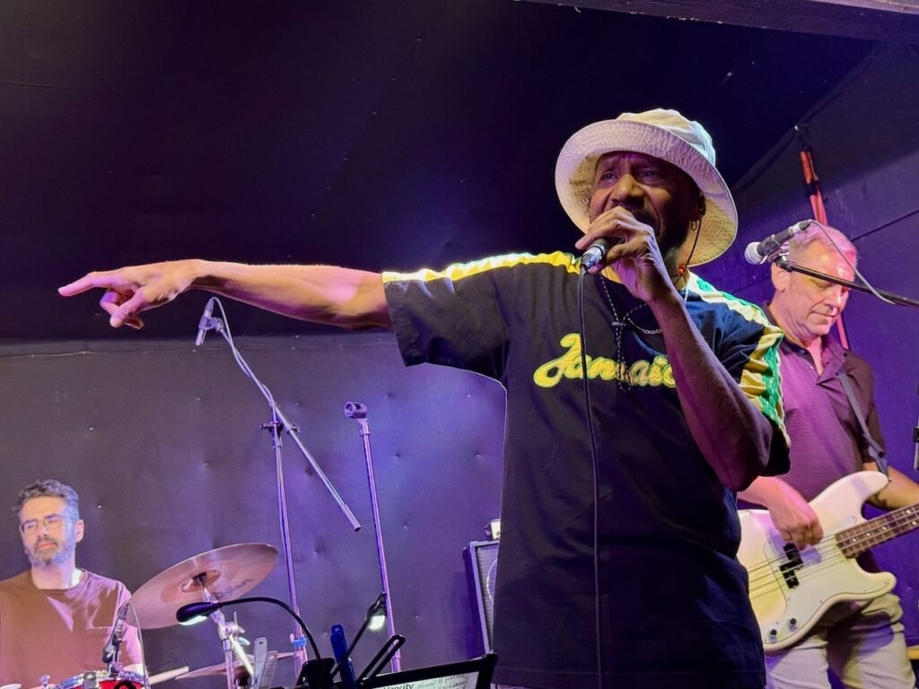 mostly marley 1 2025